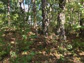Parduodu 12.31ha žemės sklypą, 4,54 iš jų miškas - nuotraukos Nr. 3