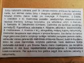 Sofija valiukaite jukniene.aliejine tempera - nuotraukos Nr. 3