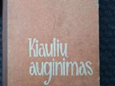Kiaulių auginimas.