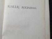 Kiaulių auginimas. - nuotraukos Nr. 2