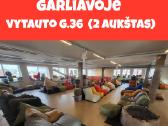 Kamuoliukų Baseinas - nuotraukos Nr. 5
