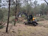 Apleistų sklypų tvarkymas,brangiai perkame biokurą