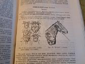 Mikrobiologijos, veterinarijos ir gyvūnų higienos - nuotraukos Nr. 8