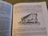 Mikrobiologijos, veterinarijos ir gyvūnų higienos - nuotraukos Nr. 10