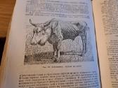 Mikrobiologijos, veterinarijos ir gyvūnų higienos - nuotraukos Nr. 11