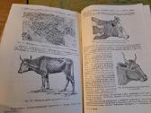 Mikrobiologijos, veterinarijos ir gyvūnų higienos - nuotraukos Nr. 12
