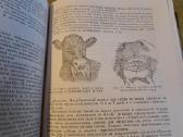 Mikrobiologijos, veterinarijos ir gyvūnų higienos - nuotraukos Nr. 13