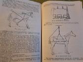 Mikrobiologijos, veterinarijos ir gyvūnų higienos - nuotraukos Nr. 16