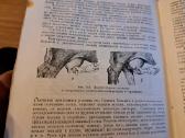 Mikrobiologijos, veterinarijos ir gyvūnų higienos - nuotraukos Nr. 17