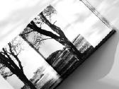Fotografijų albumas rinktinė Tėviškė - nuotraukos Nr. 7