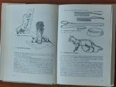 Žinynas apie katės / The Guide to cats - nuotraukos Nr. 3
