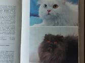 Žinynas apie katės / The Guide to cats - nuotraukos Nr. 5