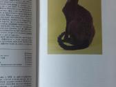 Žinynas apie katės / The Guide to cats - nuotraukos Nr. 25