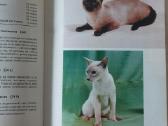 Žinynas apie katės / The Guide to cats - nuotraukos Nr. 29