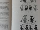 Žinynas apie katės / The Guide to cats - nuotraukos Nr. 36