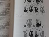 Žinynas apie katės / The Guide to cats - nuotraukos Nr. 37