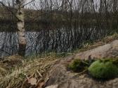 Autentiška sodyba, 38 km. jūra - nuotraukos Nr. 11