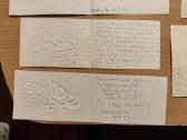 Atvirutės Nuo 1900 metu iki Ssr 270 foto2 dalys - nuotraukos Nr. 16