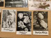Atvirutės Nuo 1900 metu iki Ssr 270 foto 3 dalys - nuotraukos Nr. 9