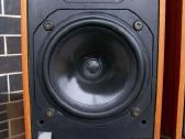 Audes. Richard Allan. B&w Dm12, v201. Kef, - nuotraukos Nr. 22