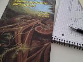 Terapiniai masažai - nuotraukos Nr. 2