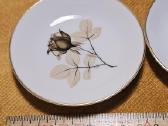 Miniatiūrinės Rosenthal lėkštutės - nuotraukos Nr. 3