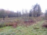 Griovimo darbai, apleistų sklypų tvarkymas. - nuotraukos Nr. 15