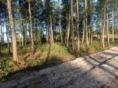 Griovimo darbai, apleistų sklypų tvarkymas. - nuotraukos Nr. 20