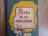 Bitės ir jų priežiūra
