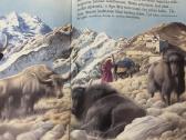 Gyvūnų nuotykiai rinkinys 2 vnt - nuotraukos Nr. 8