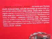Vienuolis, kuris pardavė ferrarį - nuotraukos Nr. 2