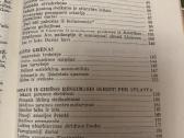 Sparnuoti lietuviai darius ir girėnas - nuotraukos Nr. 4