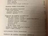 Sparnuoti lietuviai darius ir girėnas - nuotraukos Nr. 5