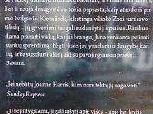 Ledinukų bateliai. Bestselerio šokoladas tęsinys - nuotraukos Nr. 2