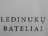Ledinukų bateliai. Bestselerio šokoladas tęsinys - nuotraukos Nr. 4