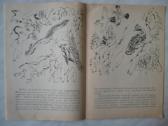Aльбомы для раскраски - nuotraukos Nr. 6