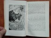 Pilkoji Pelėda "Girių piligrimai" 1958 metai - nuotraukos Nr. 4