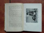 Pilkoji Pelėda "Girių piligrimai" 1958 metai - nuotraukos Nr. 5