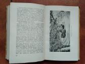 Pilkoji Pelėda "Girių piligrimai" 1958 metai - nuotraukos Nr. 6