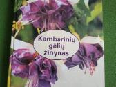 Daug knygu apie gėles, vaistinius augalus,sveikata - nuotraukos Nr. 28