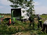 Kelmų Frezavimas Medžių pjovimas Šakų smulkinimas - nuotraukos Nr. 18