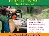 Kelmų Frezavimas Medžių pjovimas Šakų smulkinimas - nuotraukos Nr. 12