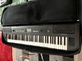 Roland Gw-7, Yamaha Qs 300, Piaggero Np-v80 ir kt. - nuotraukos Nr. 11