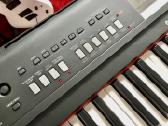 Roland Gw-7, Yamaha Qs 300, Piaggero Np-v80 ir kt. - nuotraukos Nr. 12