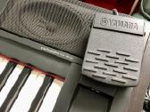 Roland Gw-7, Yamaha Qs 300, Piaggero Np-v80 ir kt. - nuotraukos Nr. 14