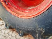 Kombainas Massey Ferguson 31 Ardomas Dalimis - nuotraukos Nr. 10