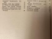 Trumpa bet nuostabi istorija - nuotraukos Nr. 8