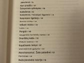 Mergaitė iš metropolio - nuotraukos Nr. 4