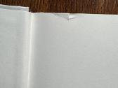 Paula piešia. Mokyklos vaidinimas - Sara Shepard - nuotraukos Nr. 2