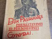 Ww2 ginyba 1941m